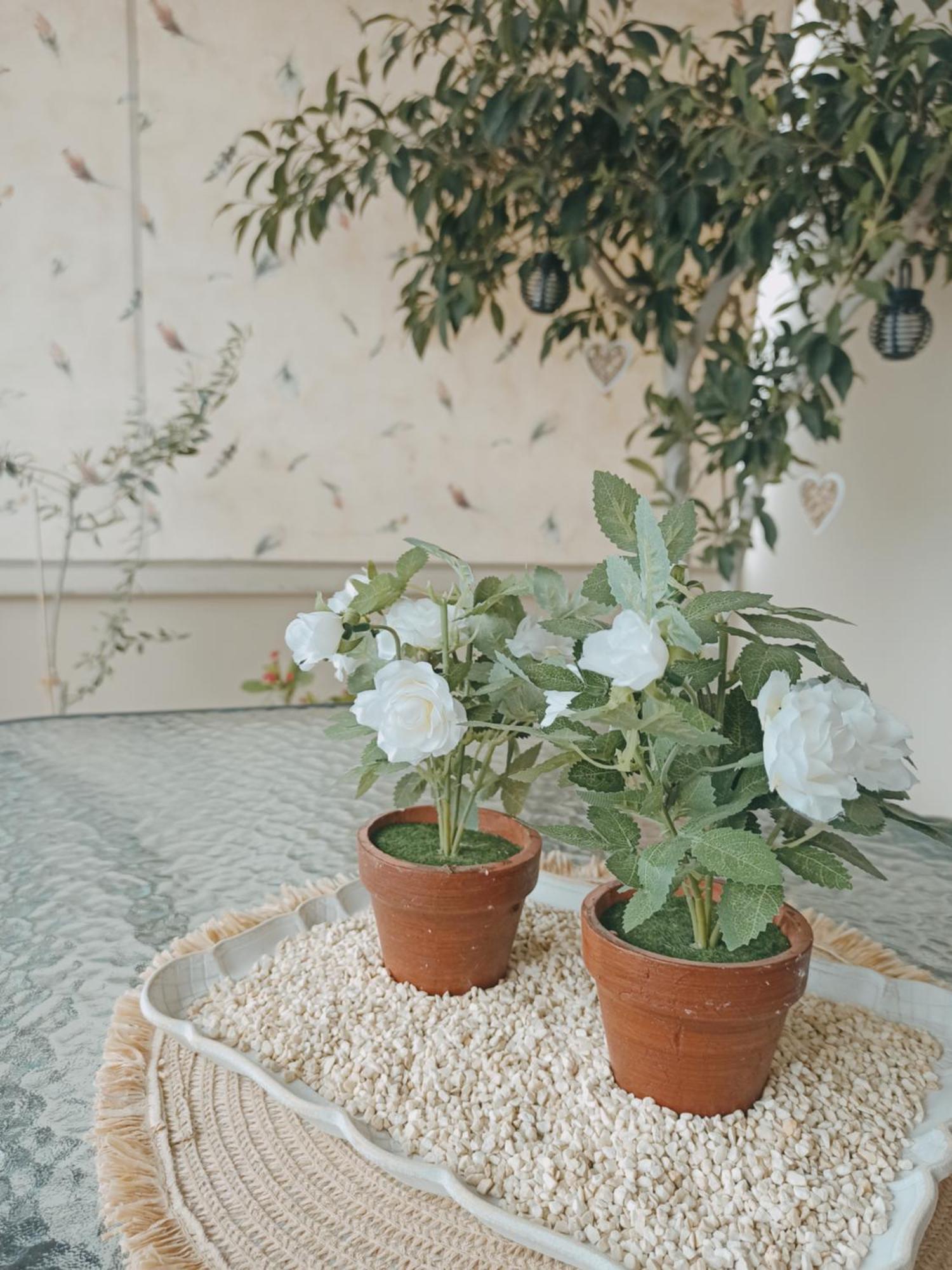 Nefeli's Home- Family Luxury Appartement